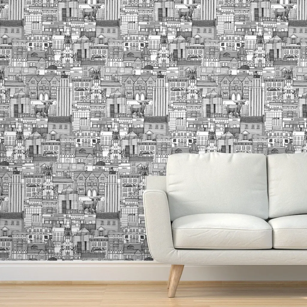 Durham NC Toile Peel and Stick Wallpaper 2'x12' - Black product