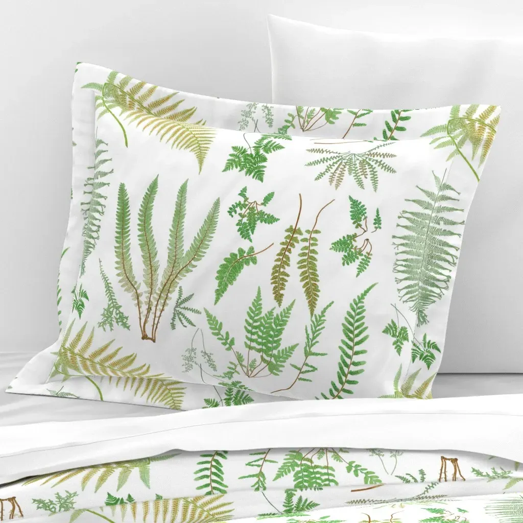 Fern Botanical Standard Flanged Cushion Cover - Green, Cotton Sateen product