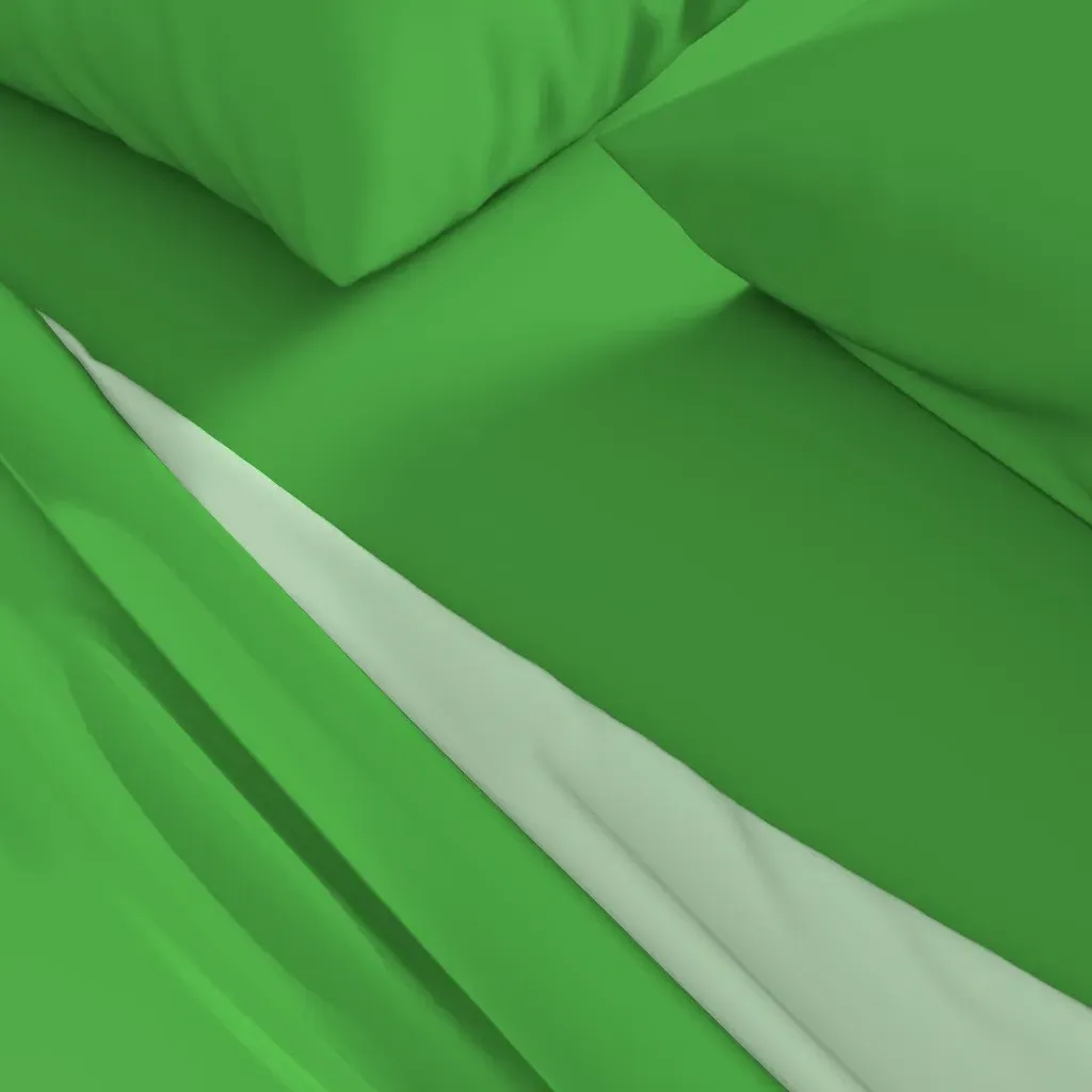 Fresh Lime Queen Size Sheet Set - Green alternate view