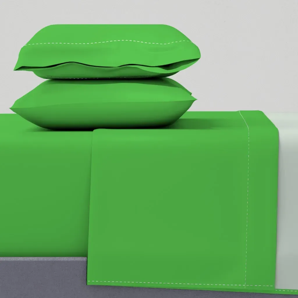 Fresh Lime Queen Size Sheet Set - Green product