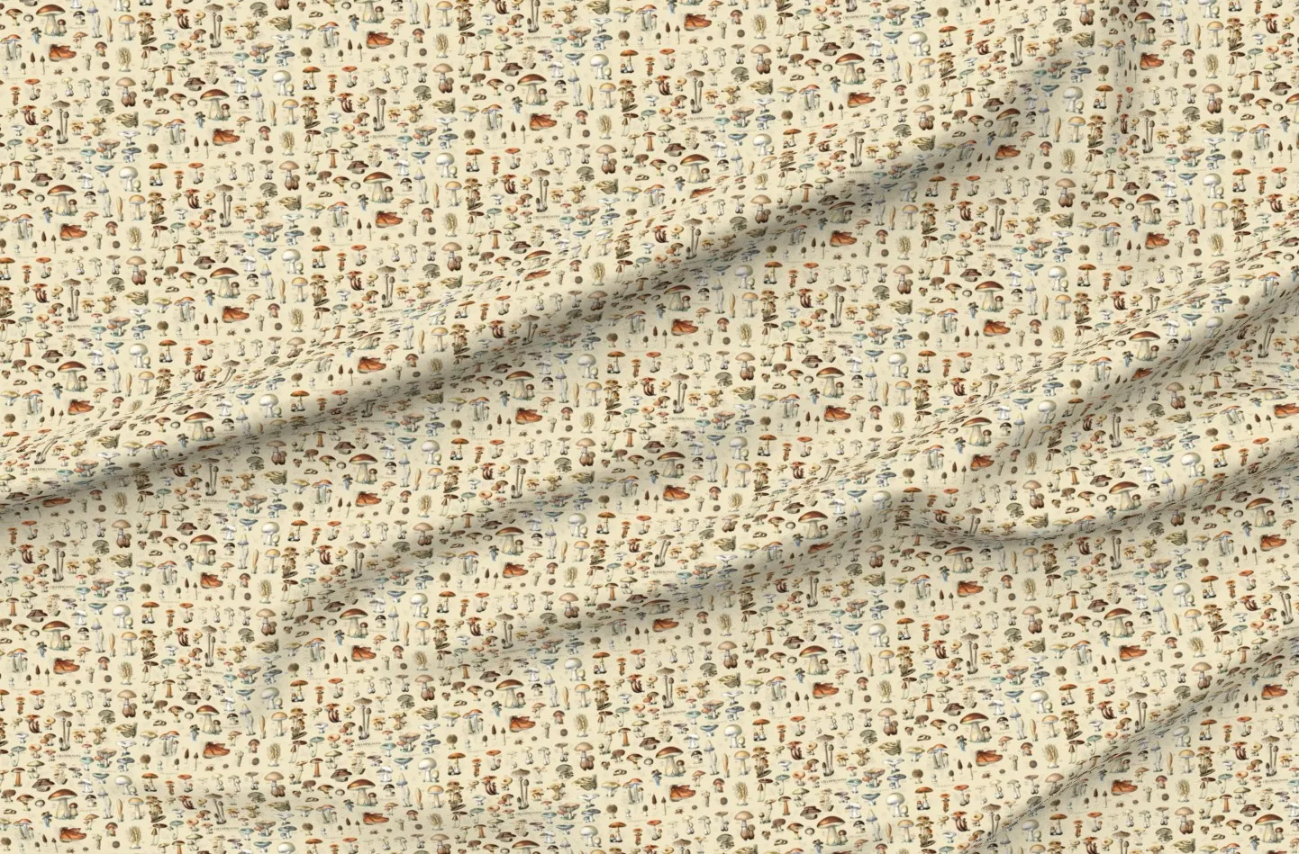 Mushroom Classification Pique Fabric - Beige product