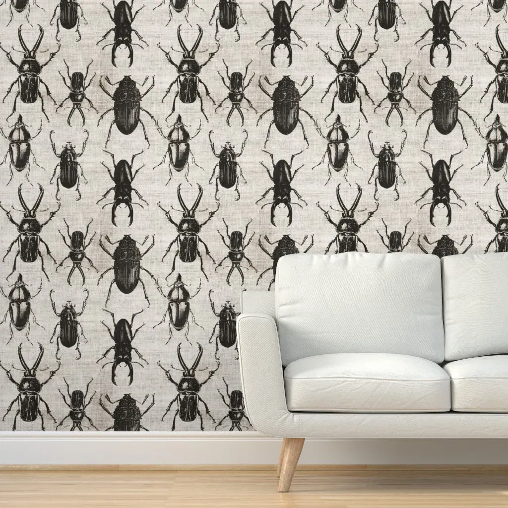 Natural History Halloween Beetle Peel and Stick Wallpaper - Black product