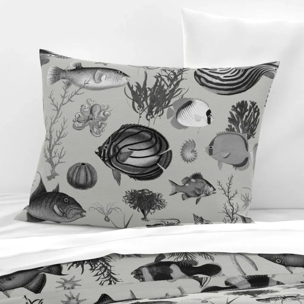 Oceania Standard Knife Edge Cushion Cover - Grey, Cotton Sateen product