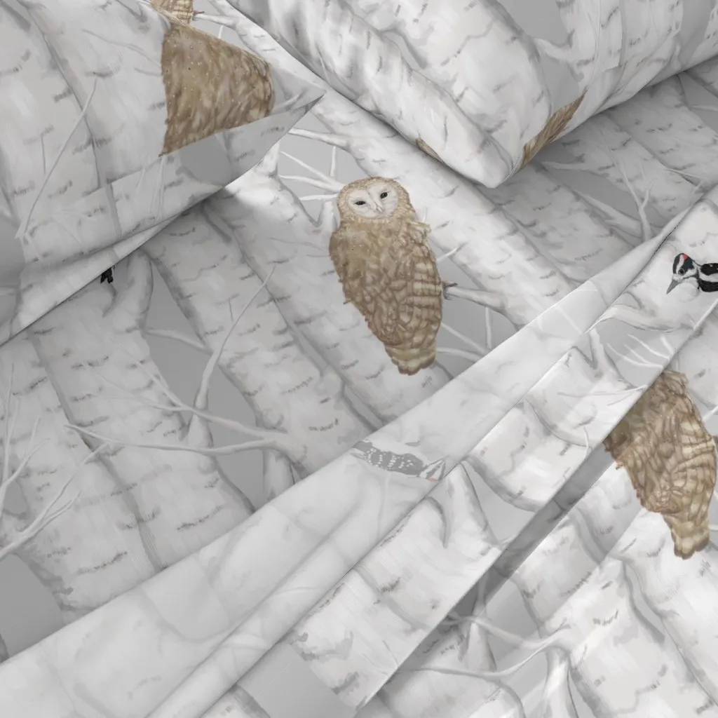 Owls And Woodpeckers Birch Tree Forest Twin XL Sheet Set alternate view