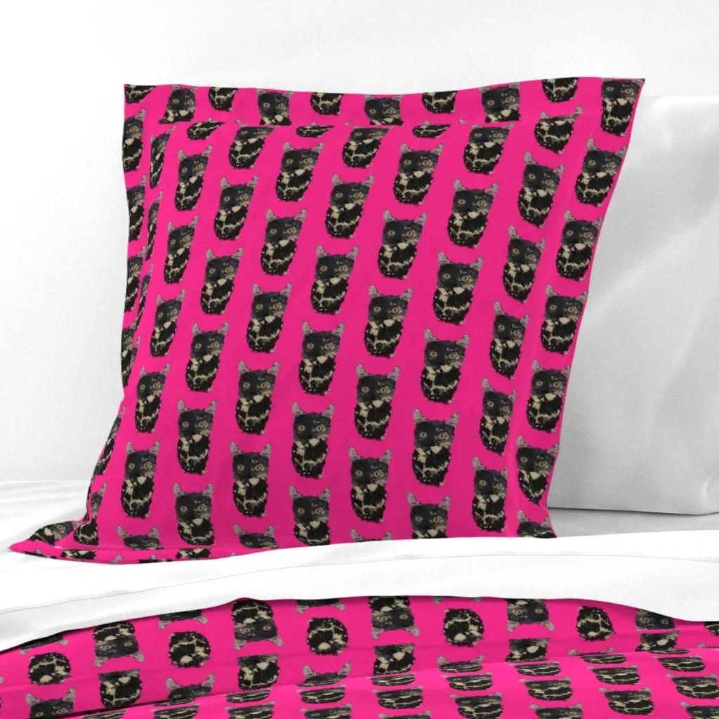 Renata The Wonder Cat Euro Pillow Sham - Black product