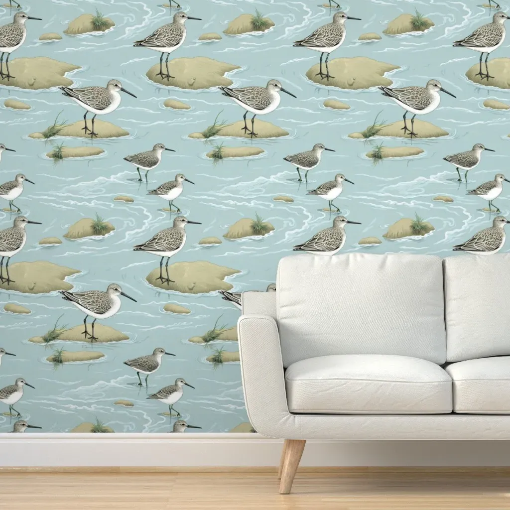 Semipalmated Sandpipers Maine Shoreline Peel and Stick Wallpaper - Gray product