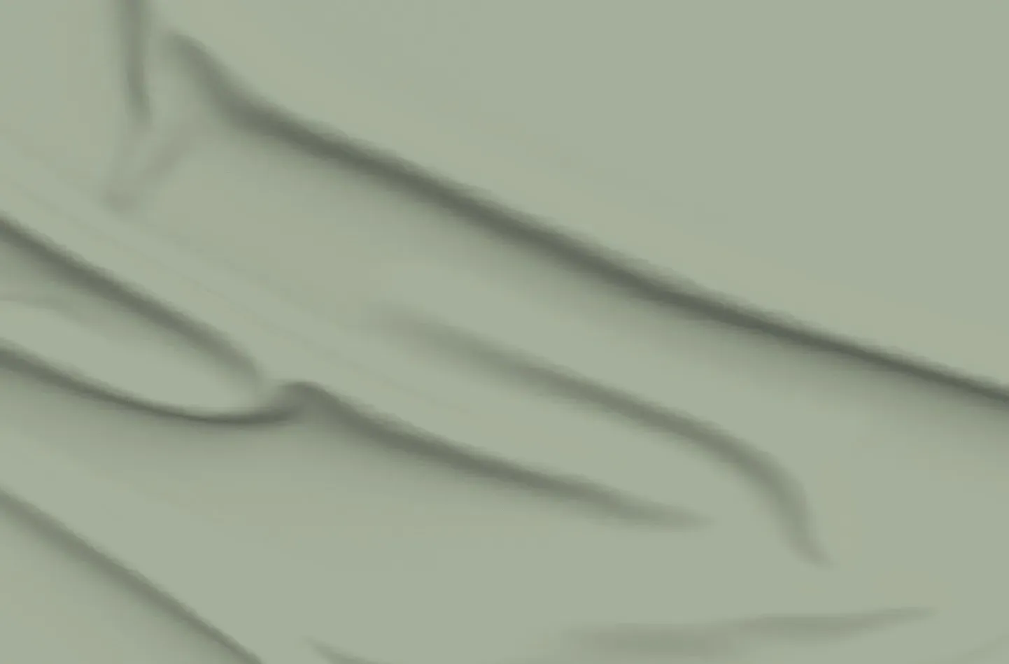 Sumi Bamboo Birds Pique Fabric - Warm Sage product