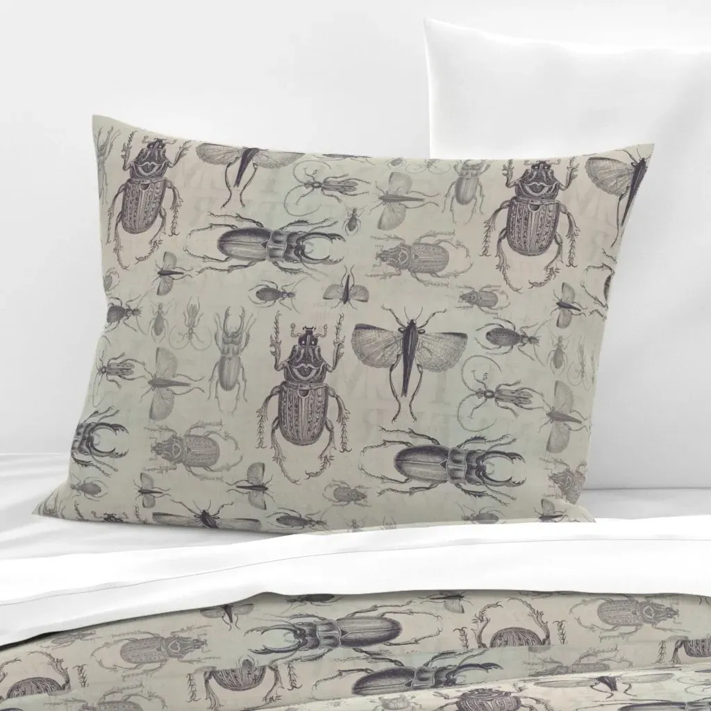 Vintage Beetles & Bugs Standard Knife Edge Pillow - Gray, Cotton Sateen product