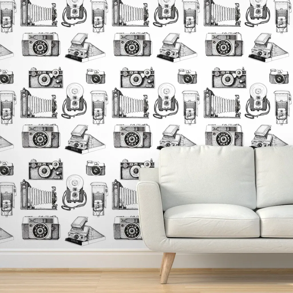 Vintage Camera Collection Peel and Stick Wallpaper - Black, White product