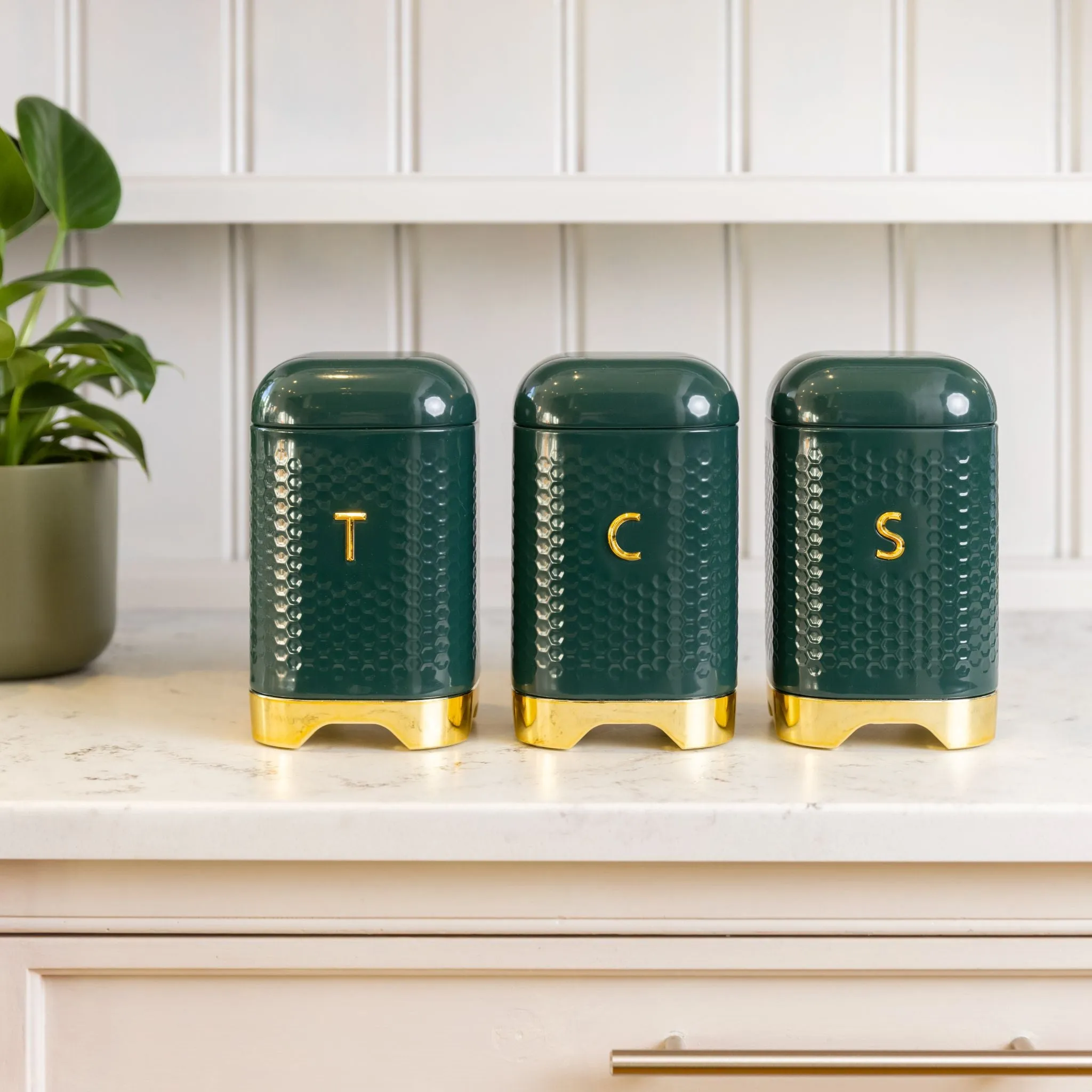 Lovello Set of 3 Canisters - Green product