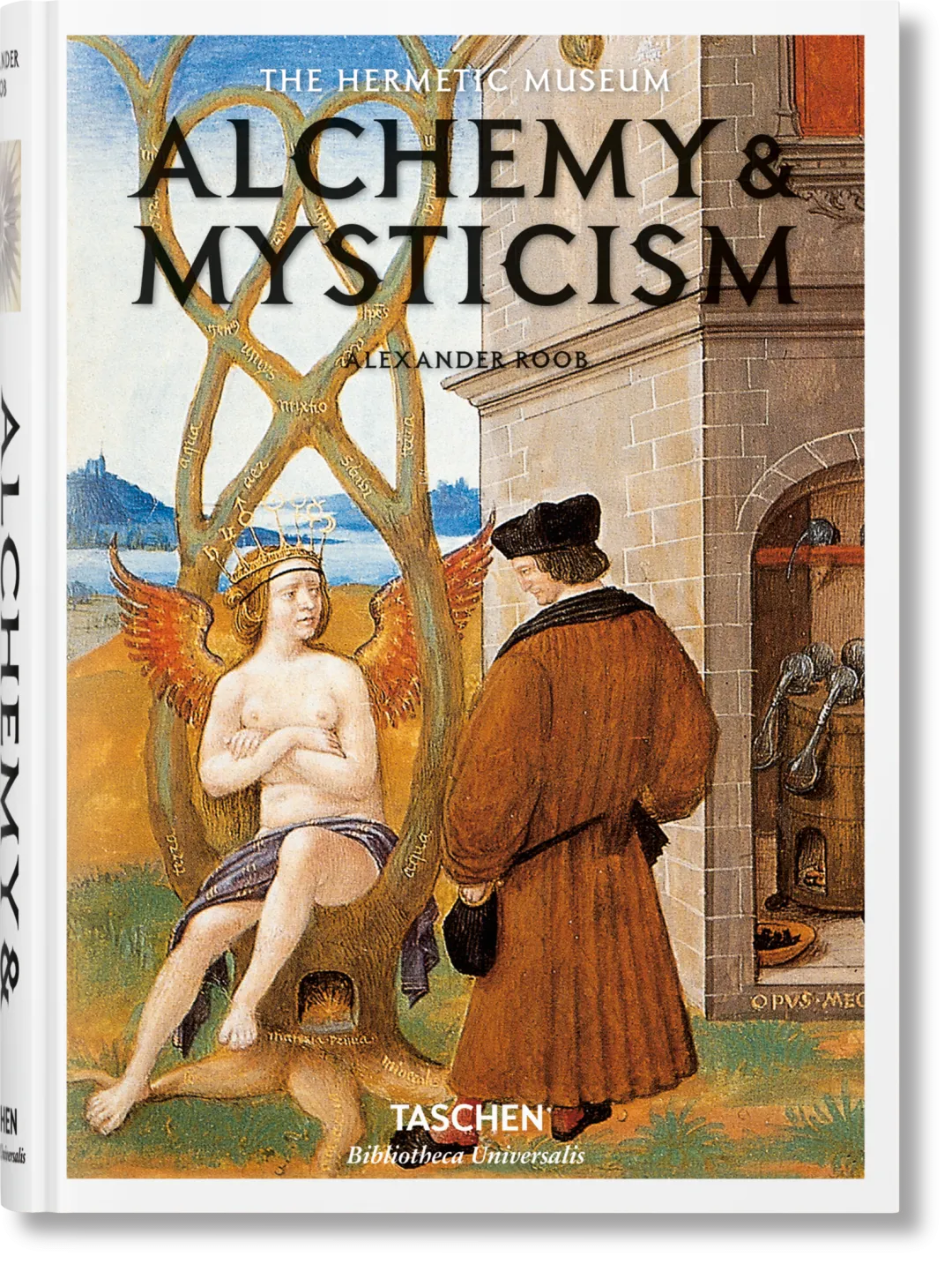 Alchemy & Mysticism Compendium Book product