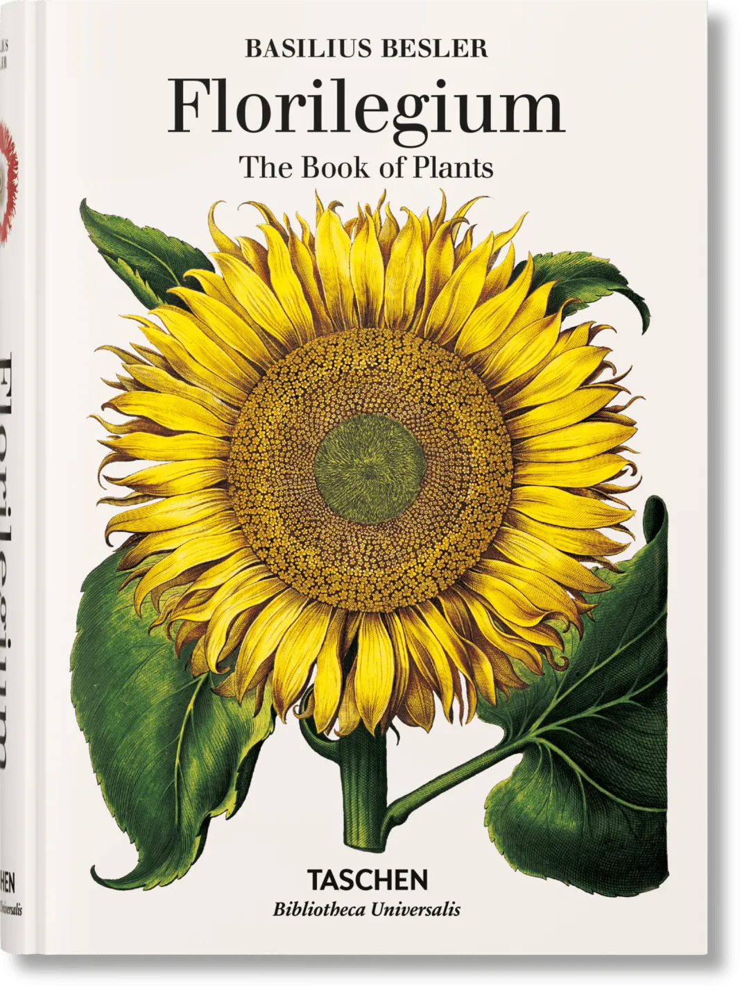 Basilius Besler Florilegium The Book of Plants product