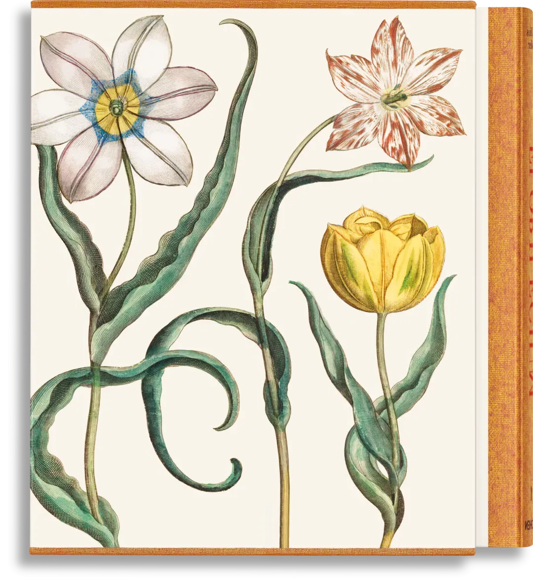 Basilius Besler The Garden at Eichstätt - Hardcover Book product