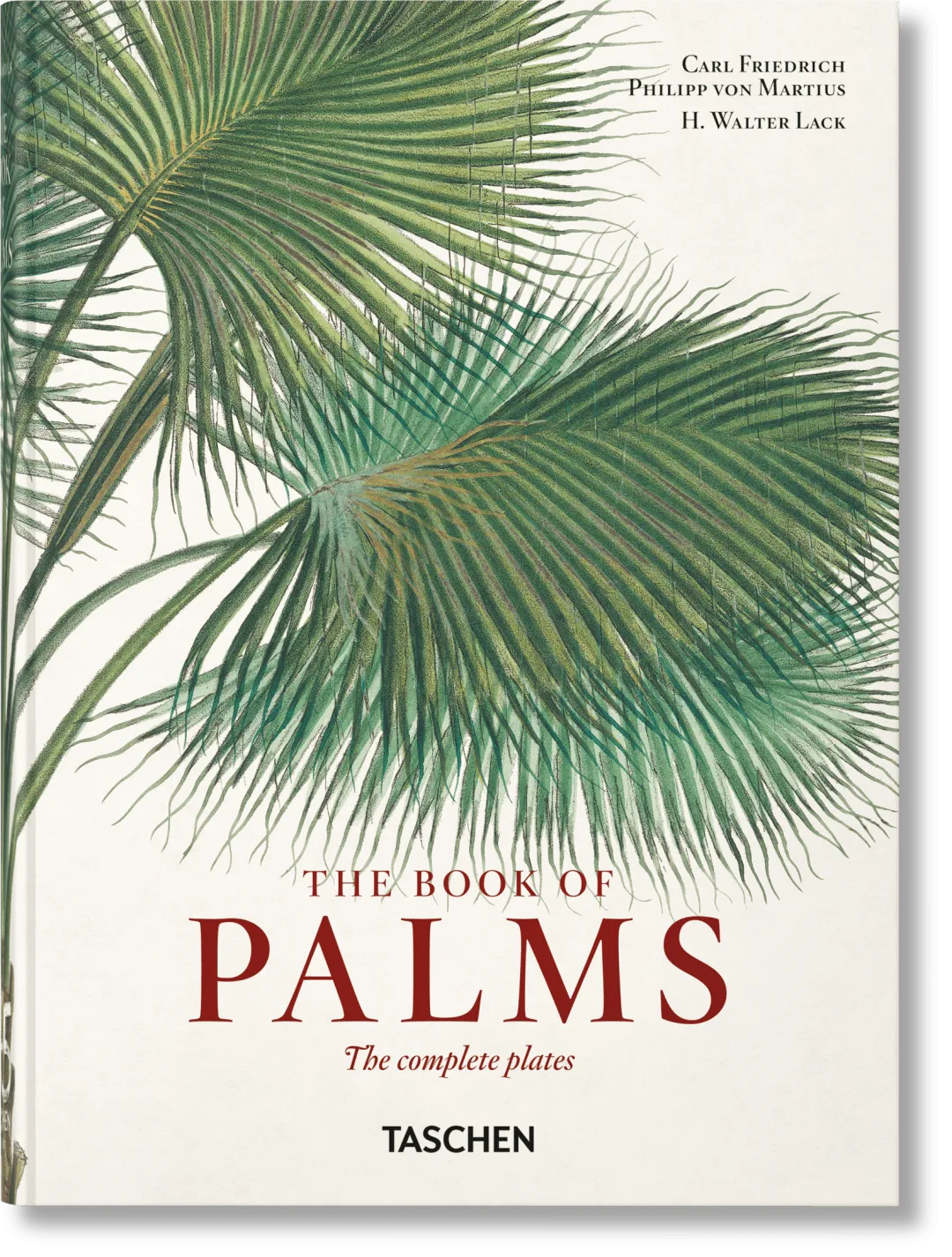 Martius: The Book of Palms 45th Edition product