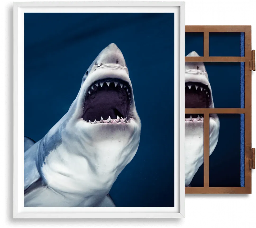 Michael Muller Sharks Art Edition No. 1–100 'Tear You Apart' product
