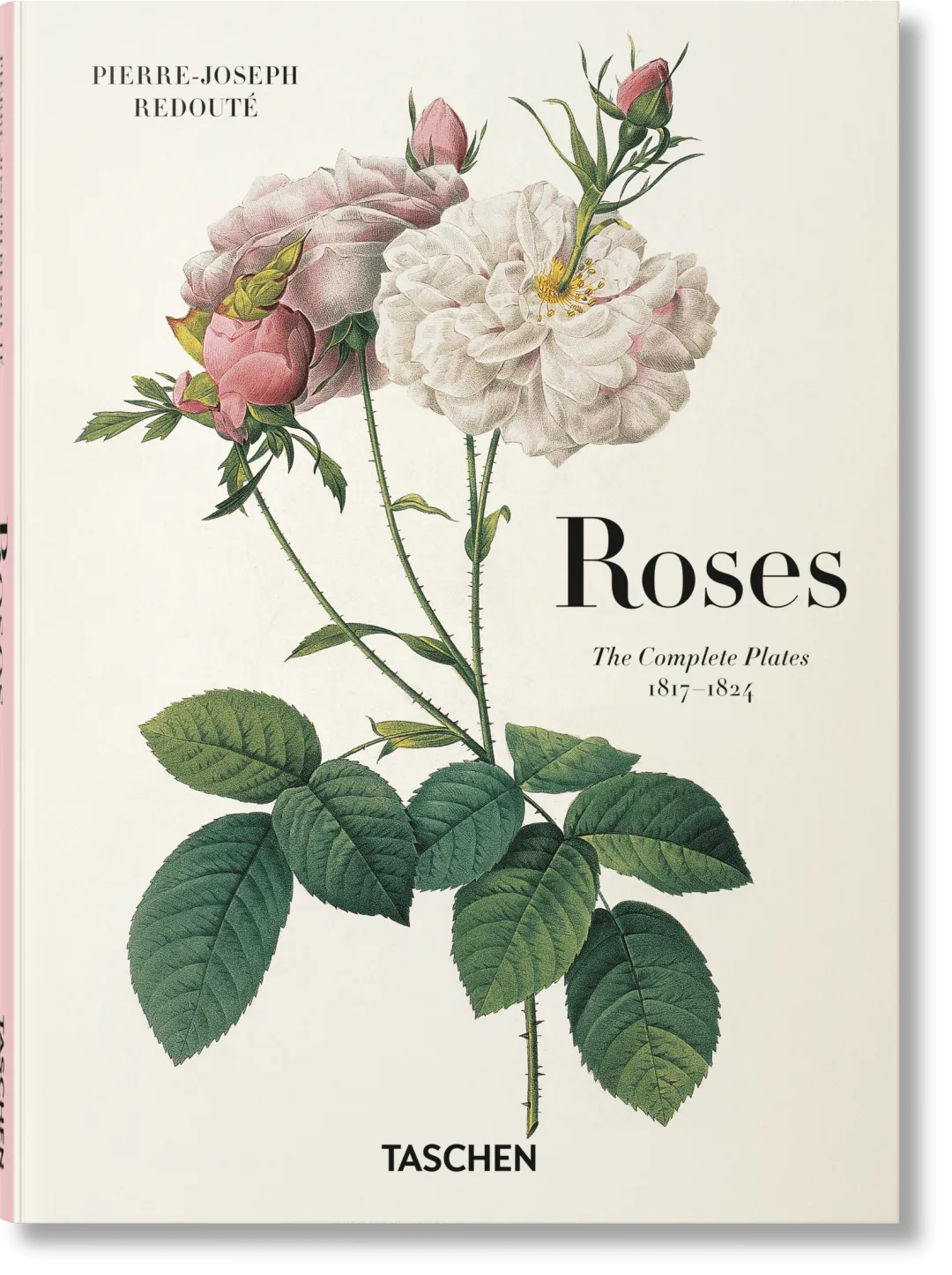 Redouté. Roses Botanical Illustrations Book product