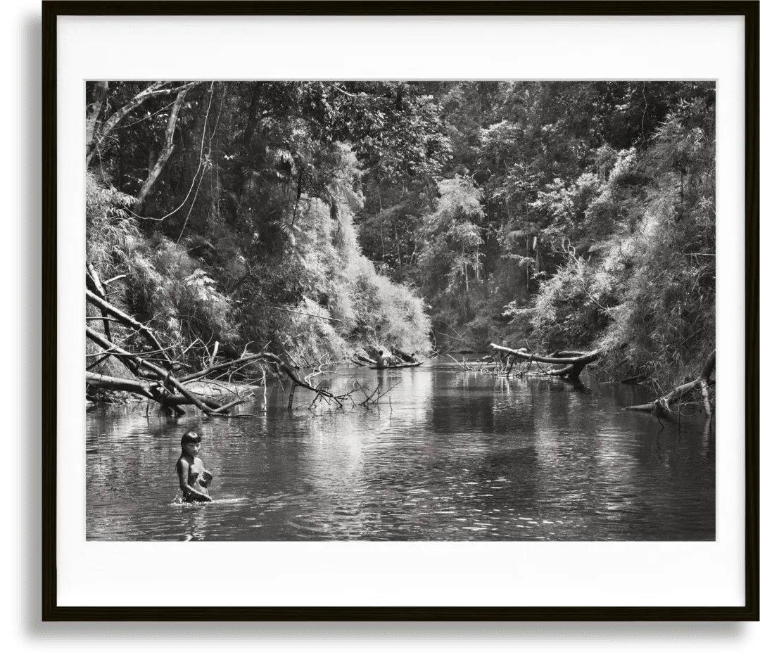 Sebastião Salgado Amazônia Art Edition No. 101–200 Book with Print product