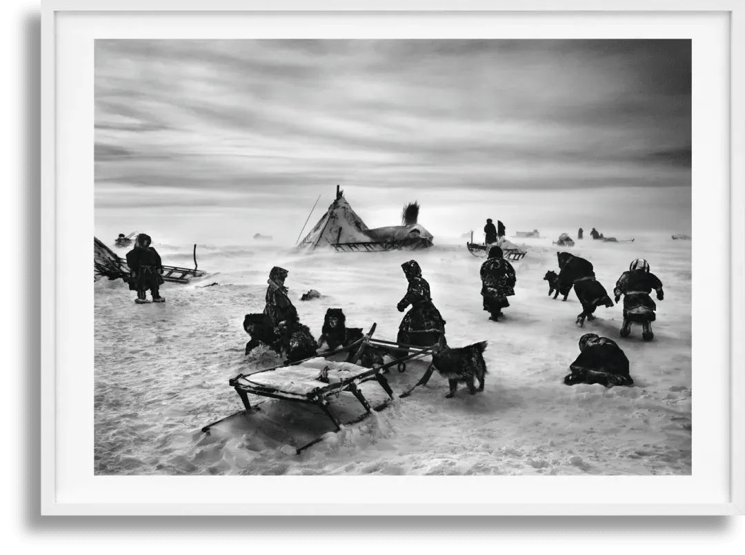 Sebastião Salgado Genesis Art Edition No. 101–200 Book product