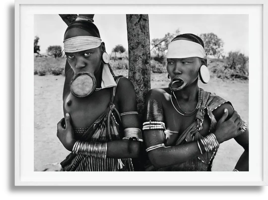 Sebastião Salgado Genesis Art Edition No. 1–100 Collector Book product