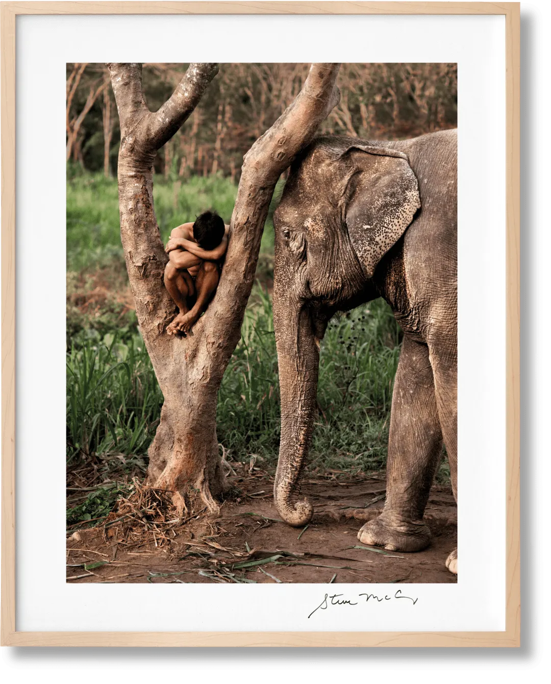 Steve McCurry Animals Art Edition No. 1–100 'Chiang Mai, Thailand, 2010' product