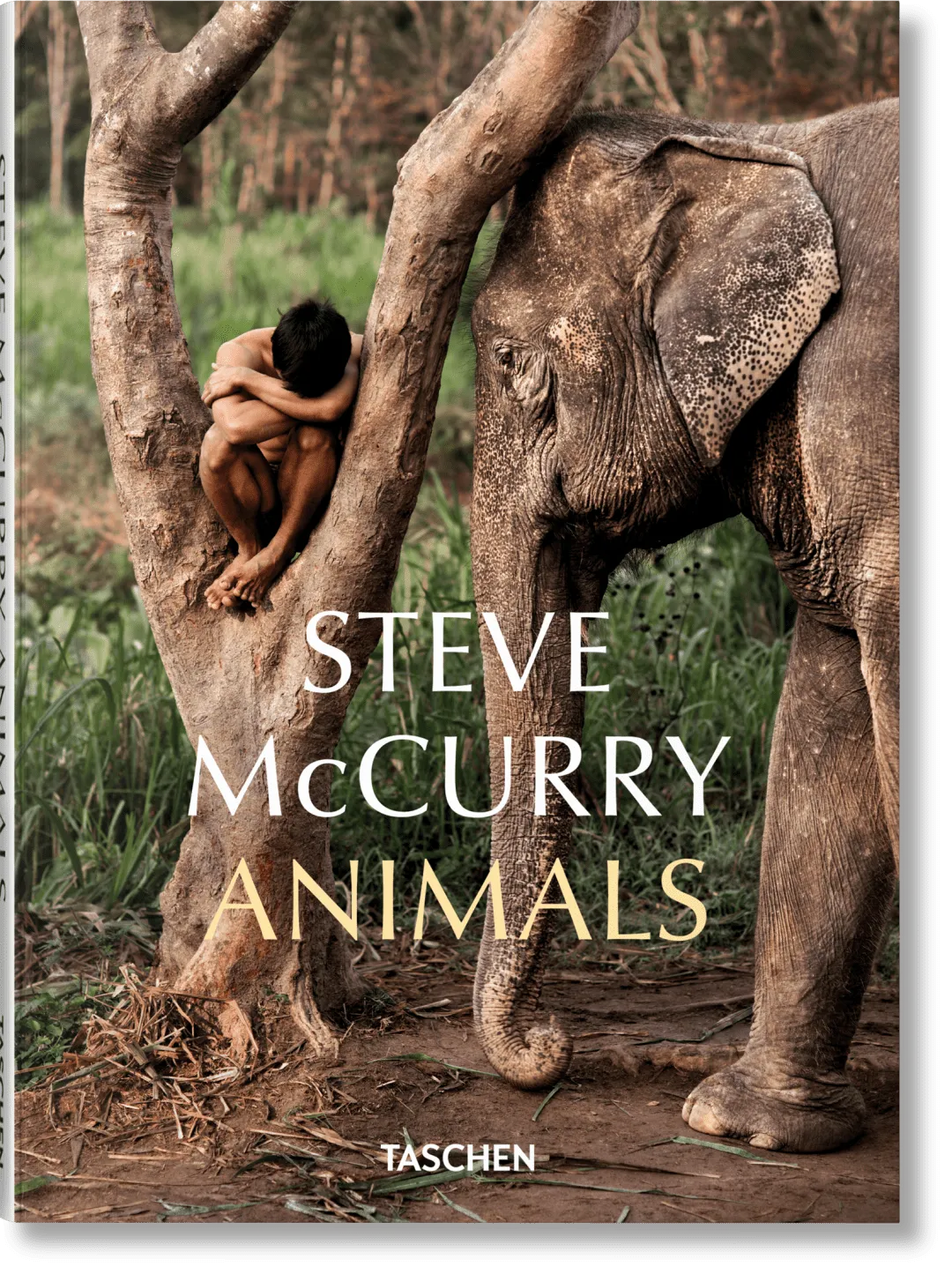 Steve McCurry Animals Photography Book product