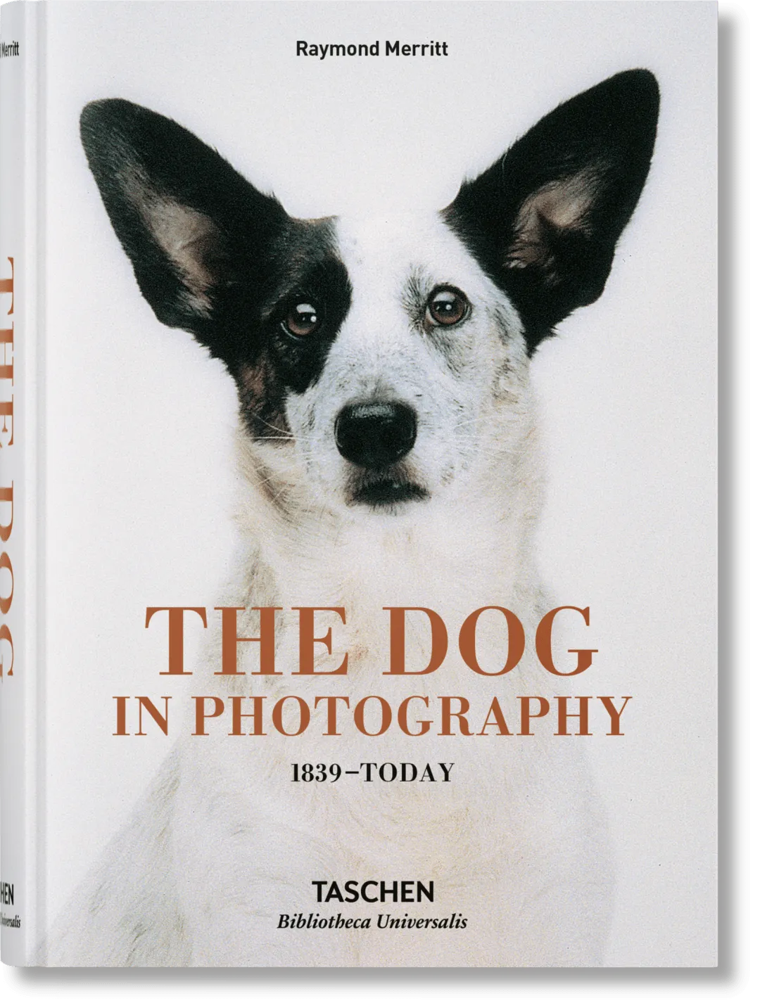 The Dog in Photography 1839–Today product