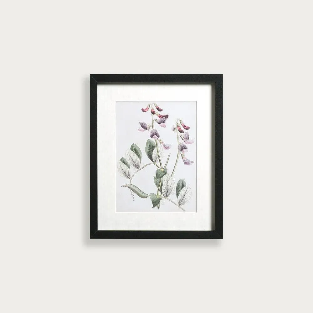 Antique Botanical I Small Wall Art image