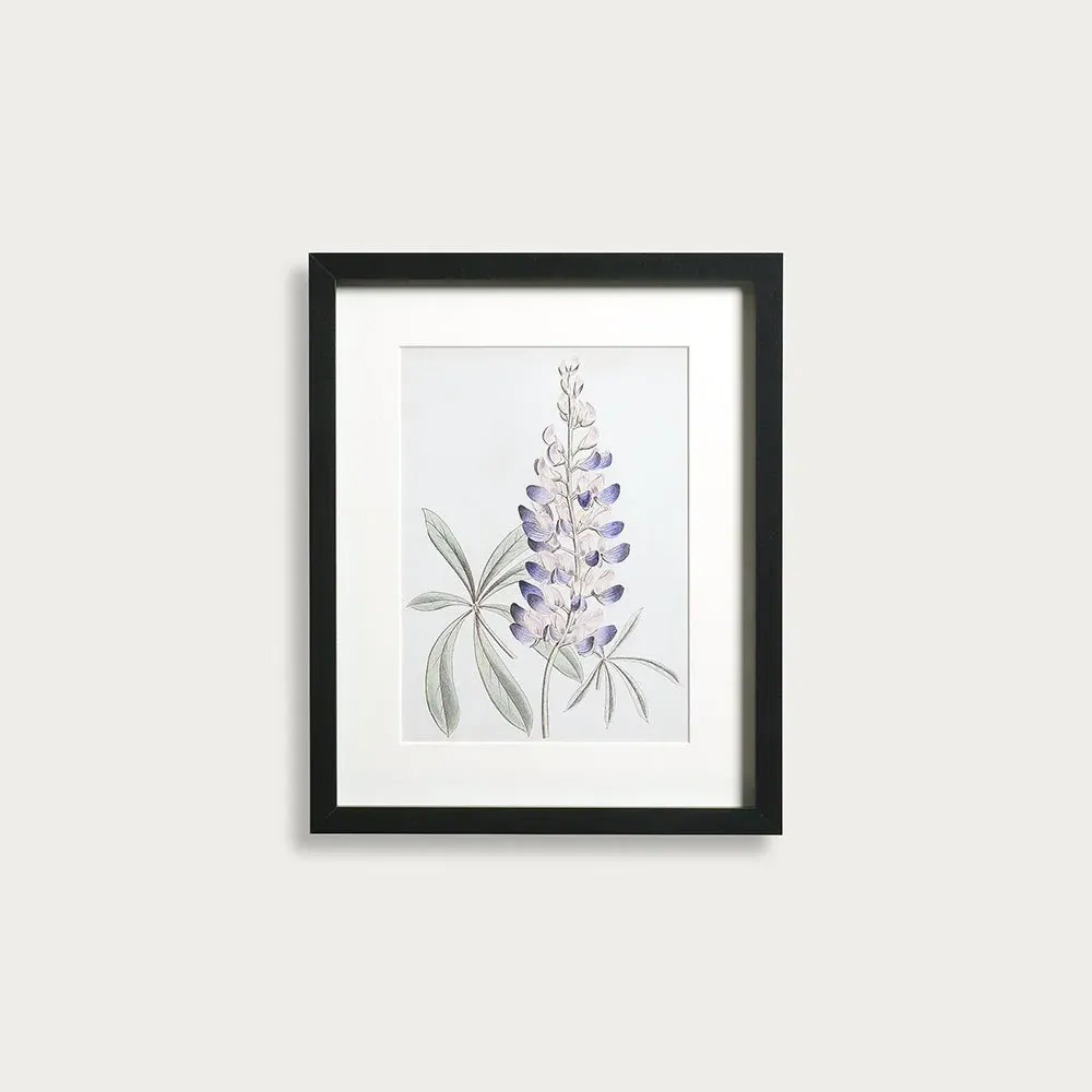 Antique Botanical II Small Wall Art