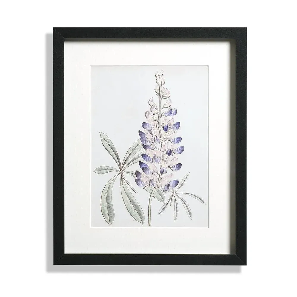 Antique Botanical II Small Wall Art