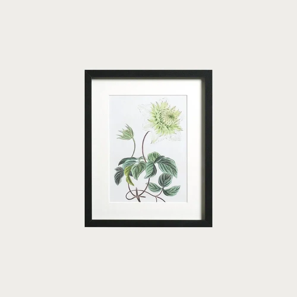 Antique Botanical V Small Wall Art