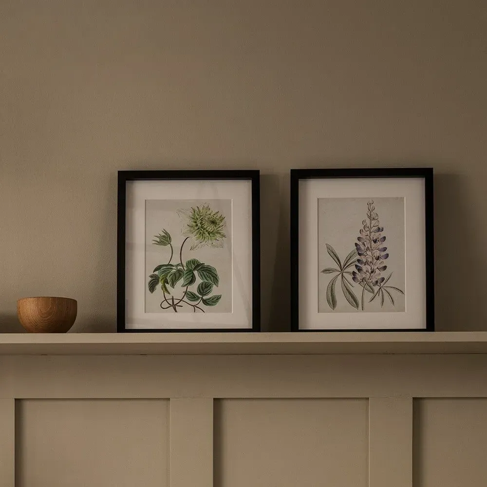 Antique Botanical V Small Wall Art