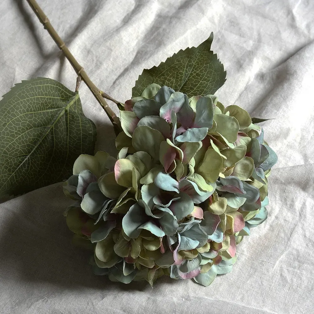 Antique Giant Hydrangea Stem - Blue image