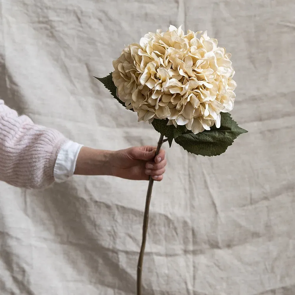 Antique Giant Hydrangea Stem - Cream