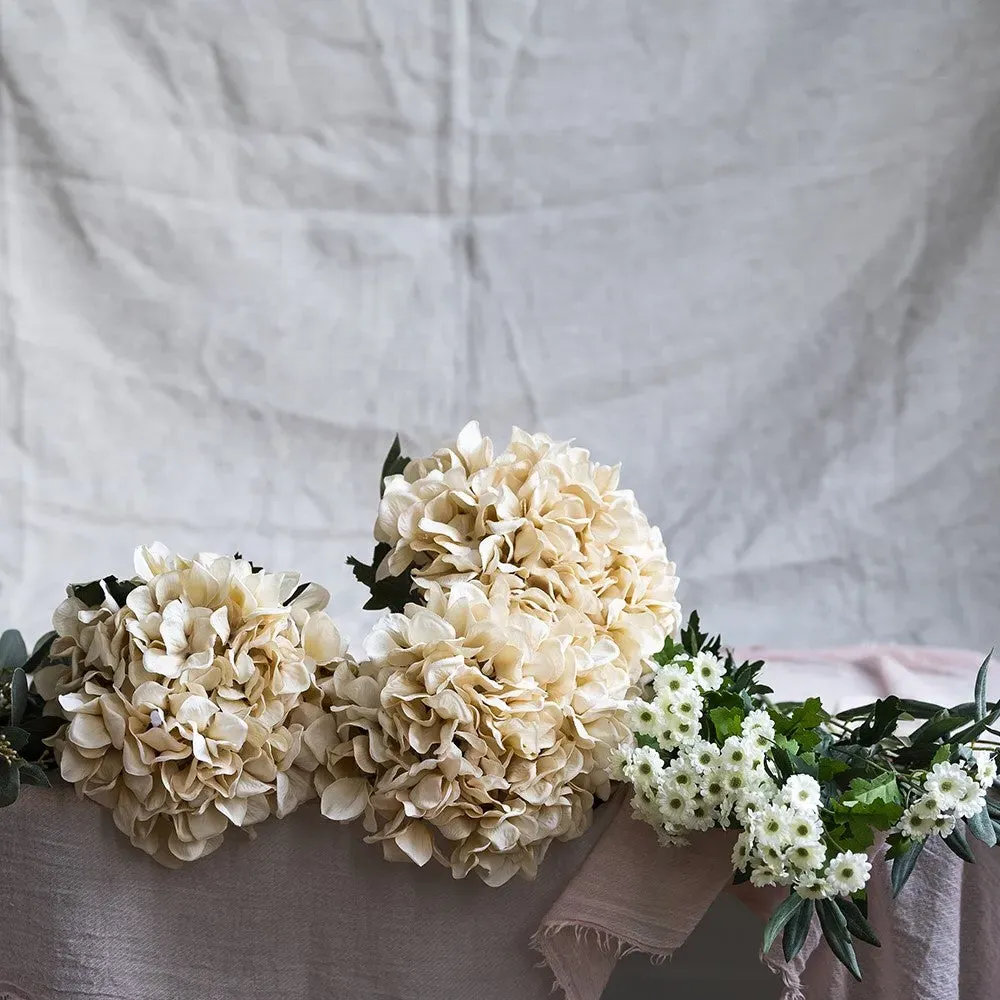 Antique Giant Hydrangea Stem - Cream