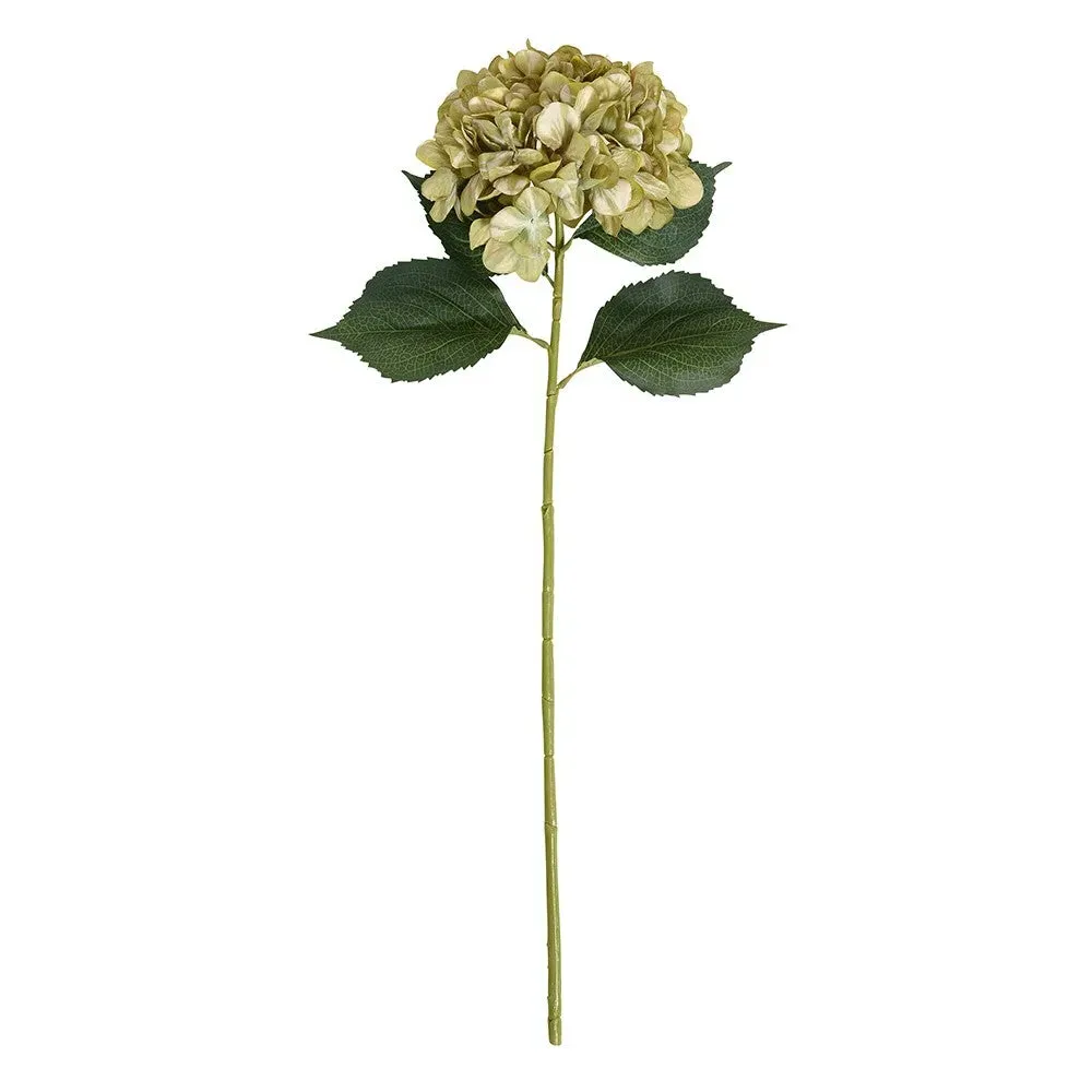 Antique Giant Hydrangea Stem - Green