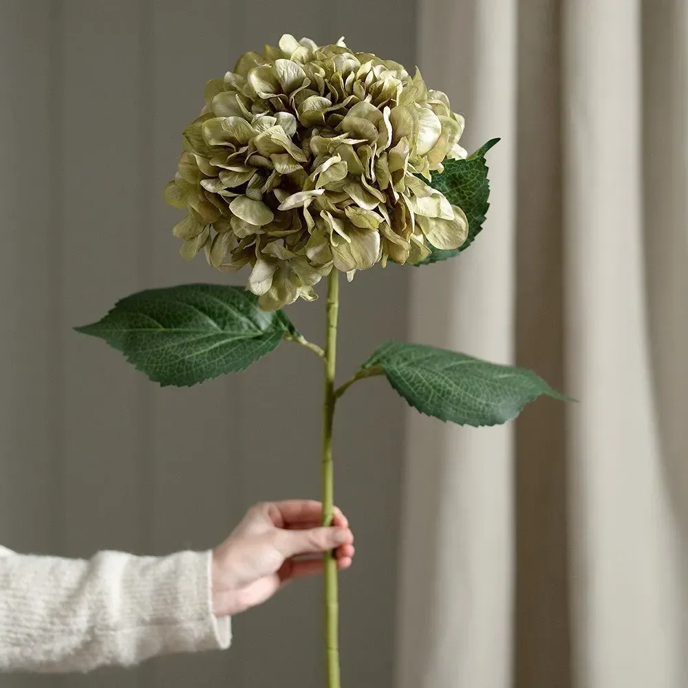 Antique Giant Hydrangea Stem - Green