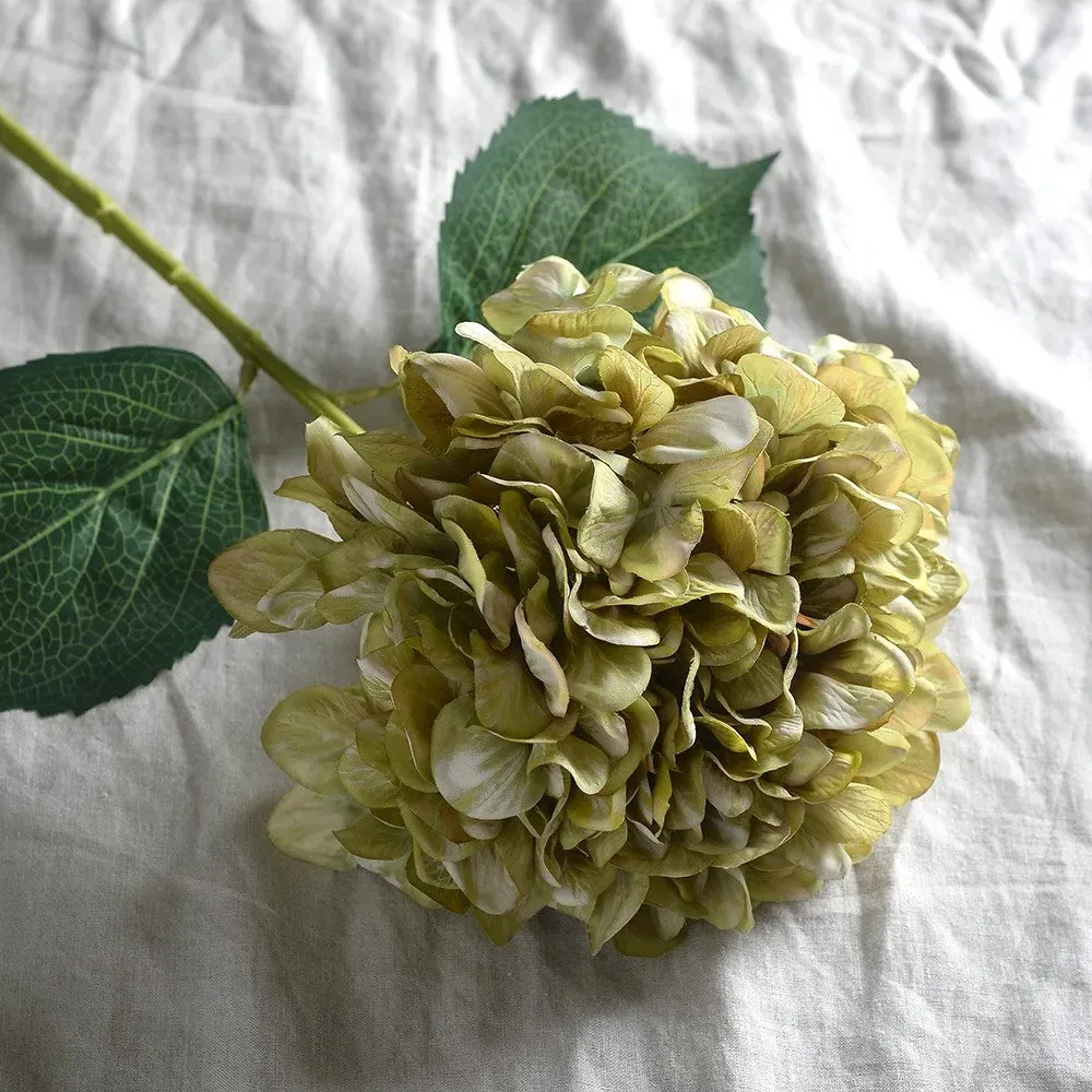 Antique Giant Hydrangea Stem - Green