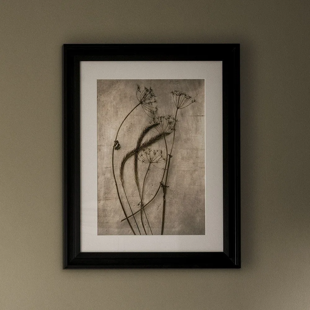 Heather Johnston 'Fleeting' Framed Art 60x80cm