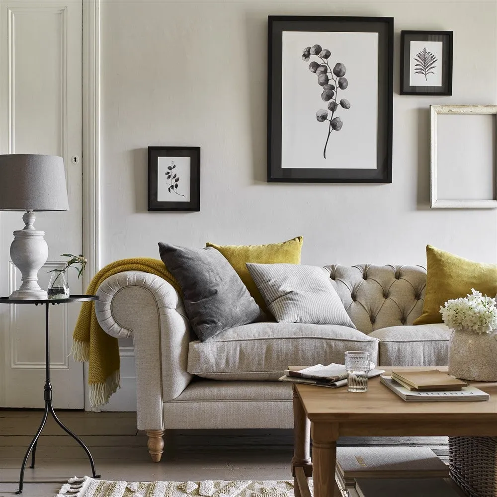 Lynsey Dorman Botanical Study I Large Wall Art - Black