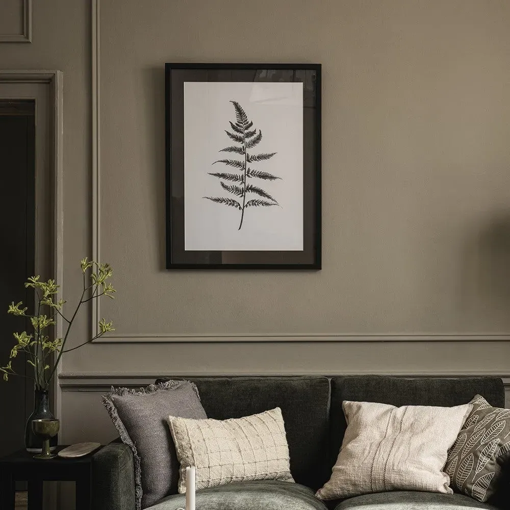 Lynsey Dorman Botanical Study IV Large Wall Art - Black