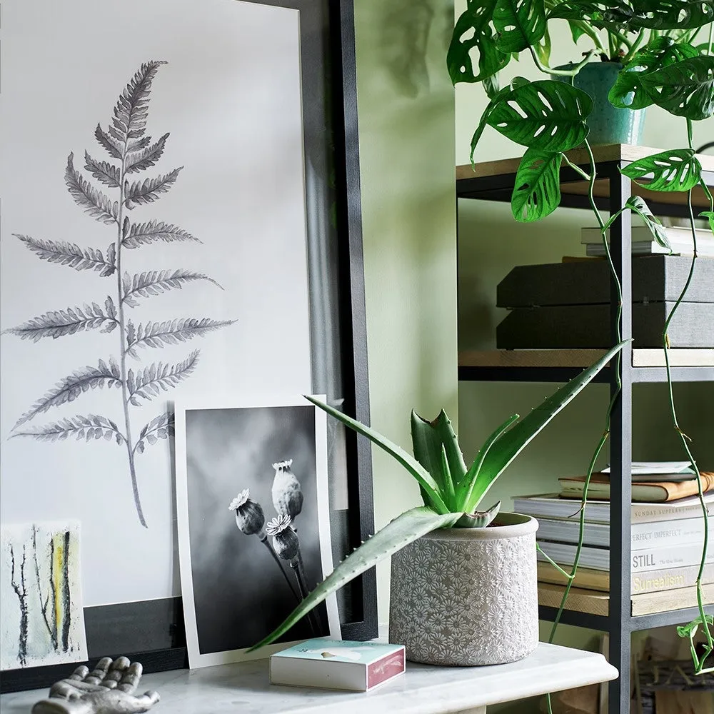 Lynsey Dorman Botanical Study IV Large Wall Art - Black