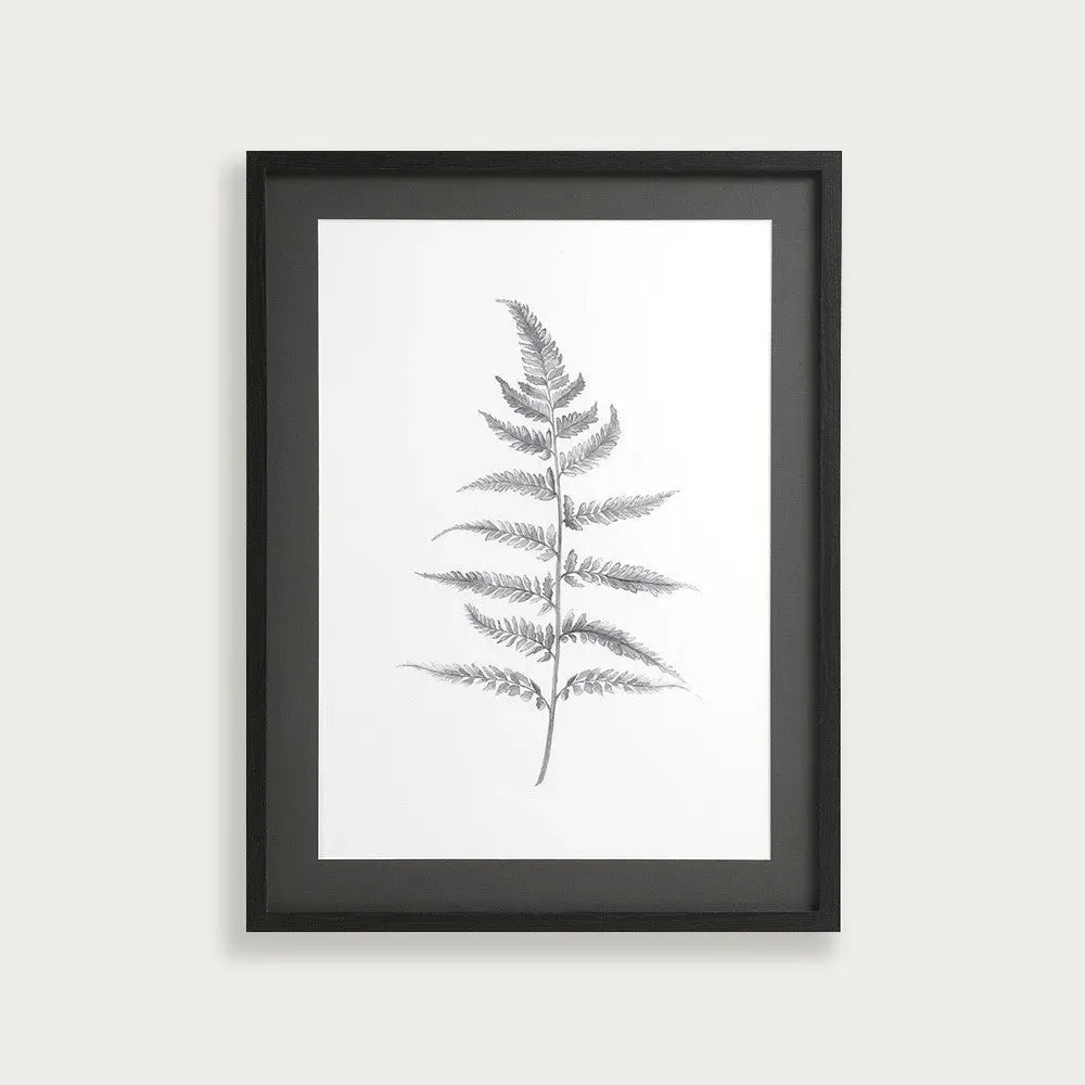 Lynsey Dorman Botanical Study IV Large Wall Art - Black