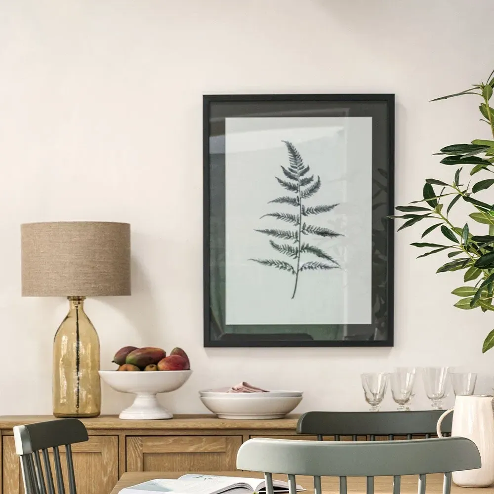 Lynsey Dorman Botanical Study IV Large Wall Art - Black