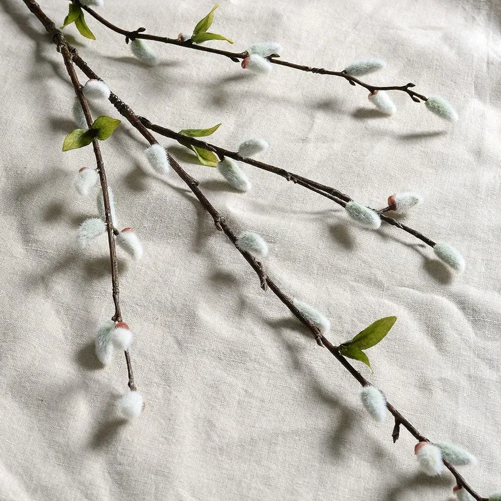 Pussy Willow Stem - The Cotswold Company