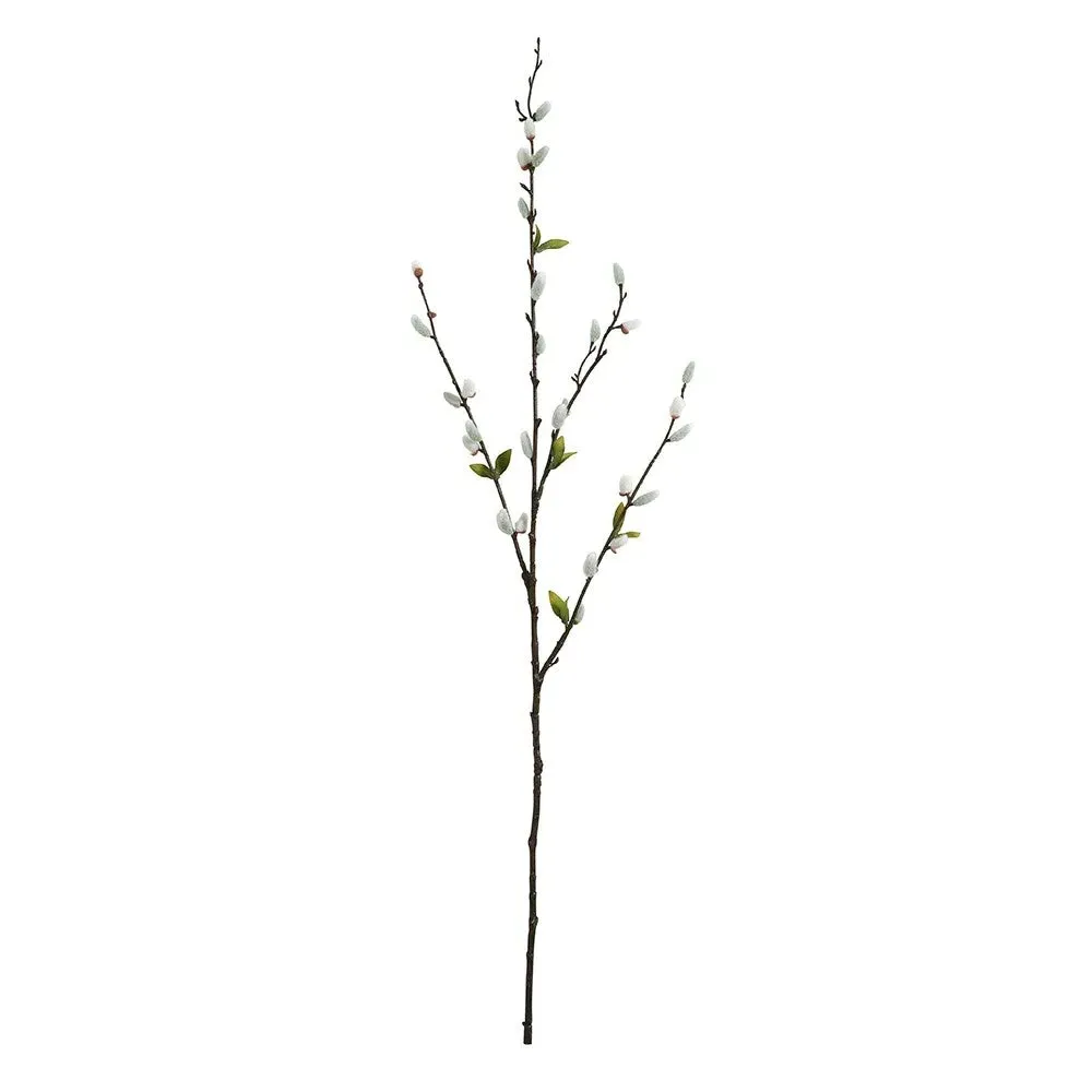 Pussy Willow Stem - The Cotswold Company image