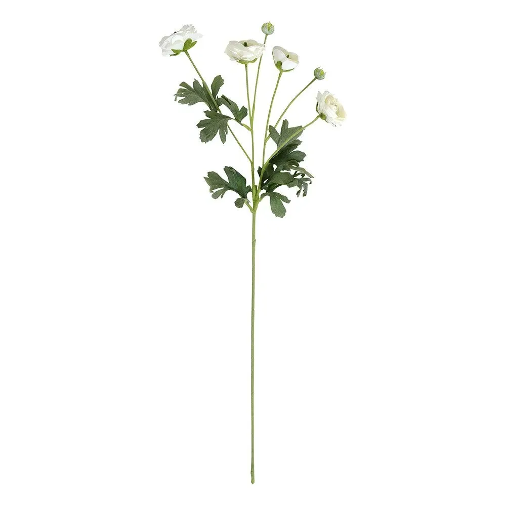Ranunculus Spray - White image