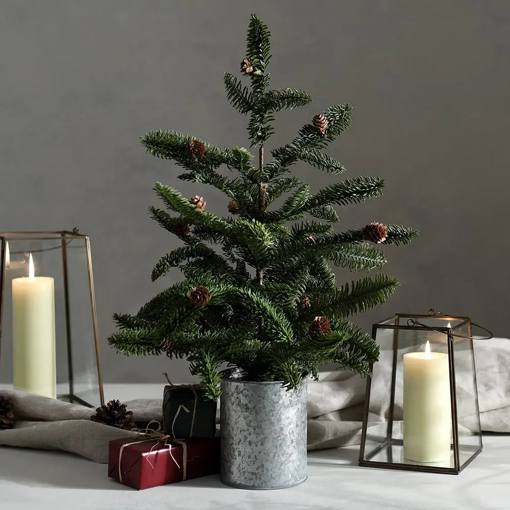 Rustic Large Potted Pine - Steel