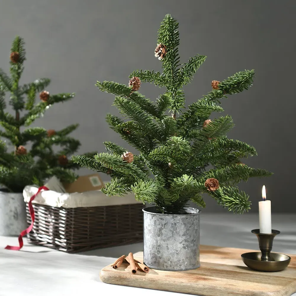 Rustic Medium Potted Pine - Steel