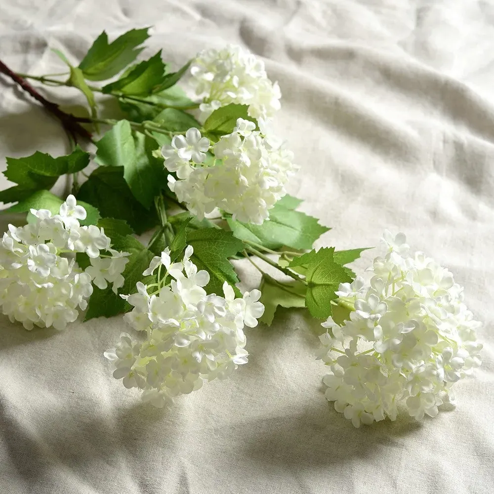 Viburnum Spray - White