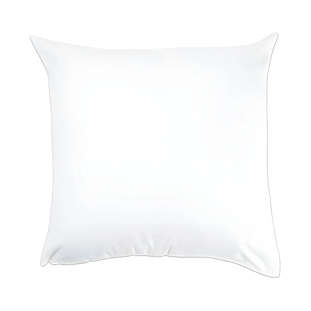 20x20 Inch Cushion Pad with Zipped Cover - White, Cotton by The Towel Shop